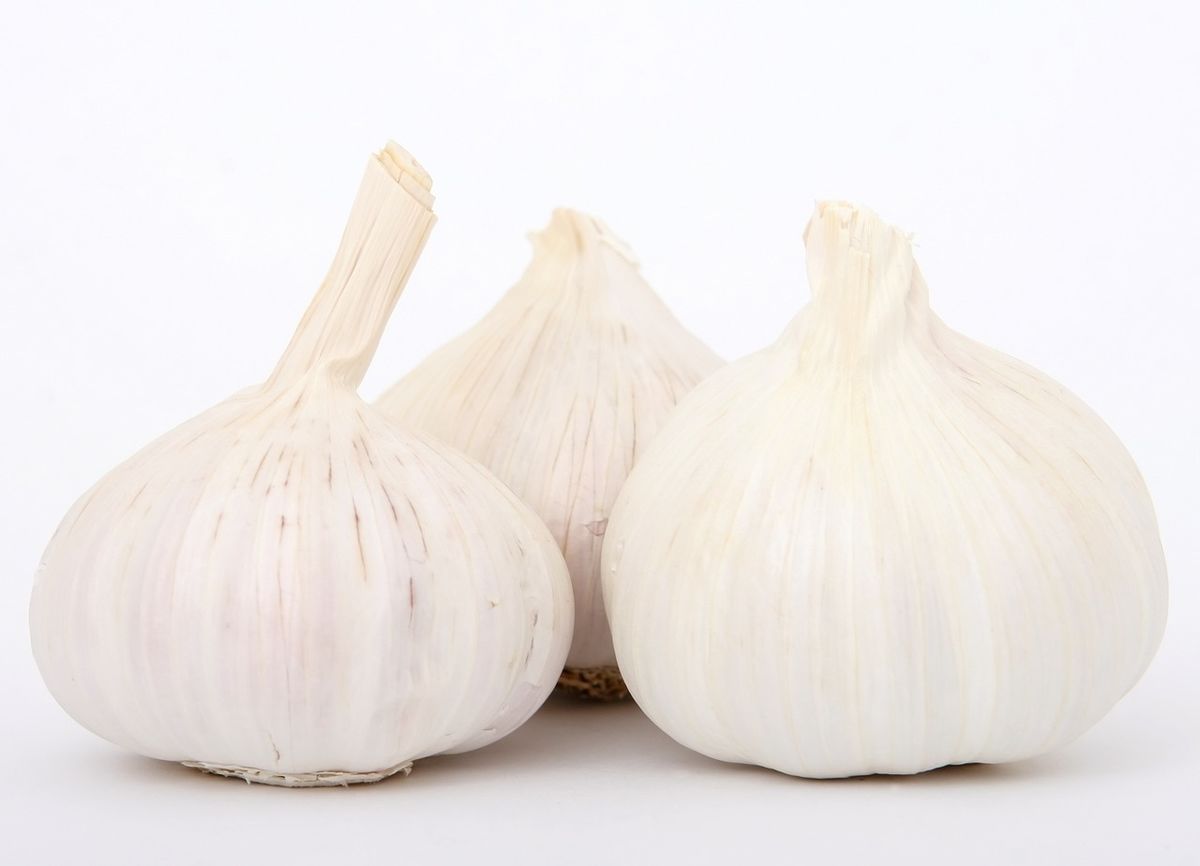 garlic-1238337_1280.jpg