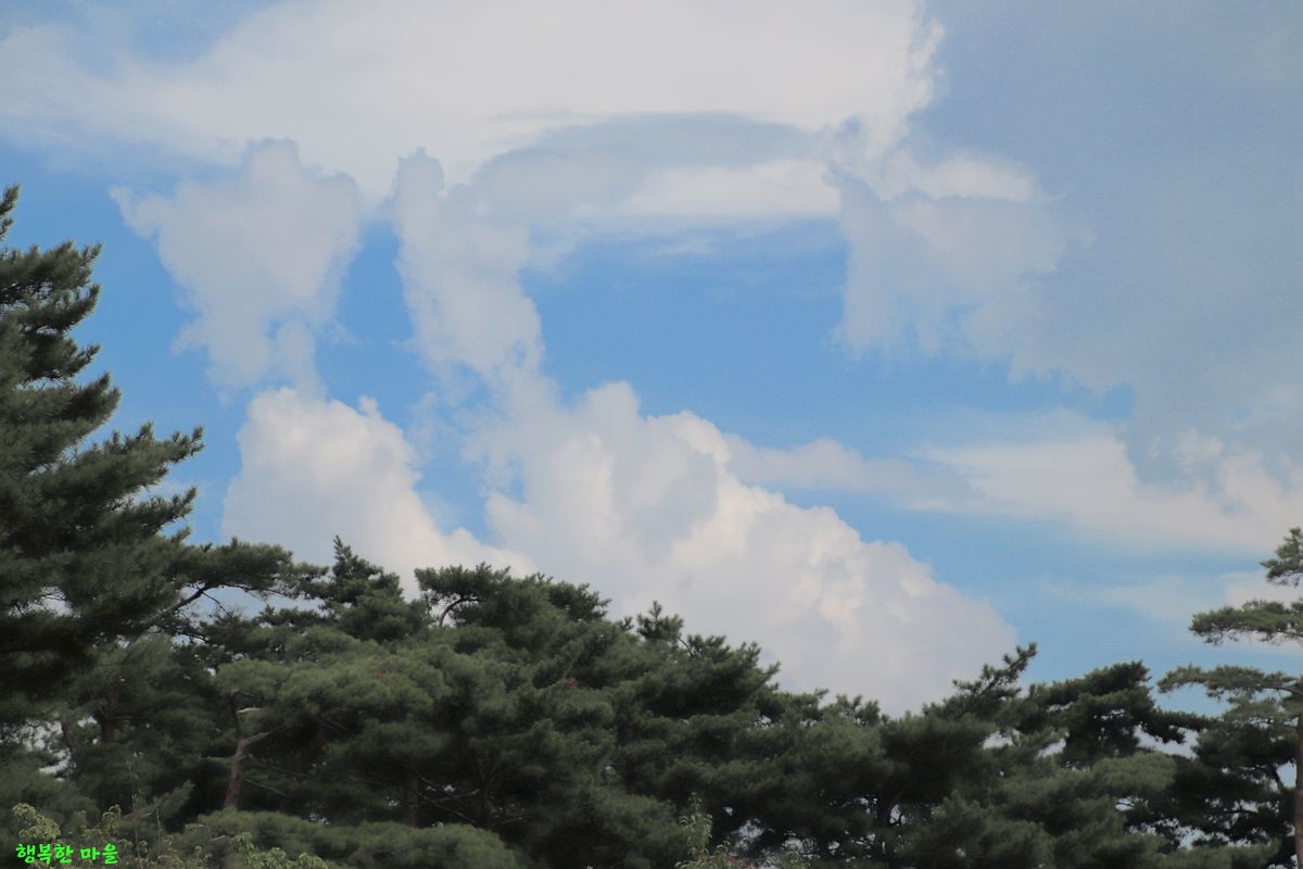 聚仙閣 - 구름사진 모음